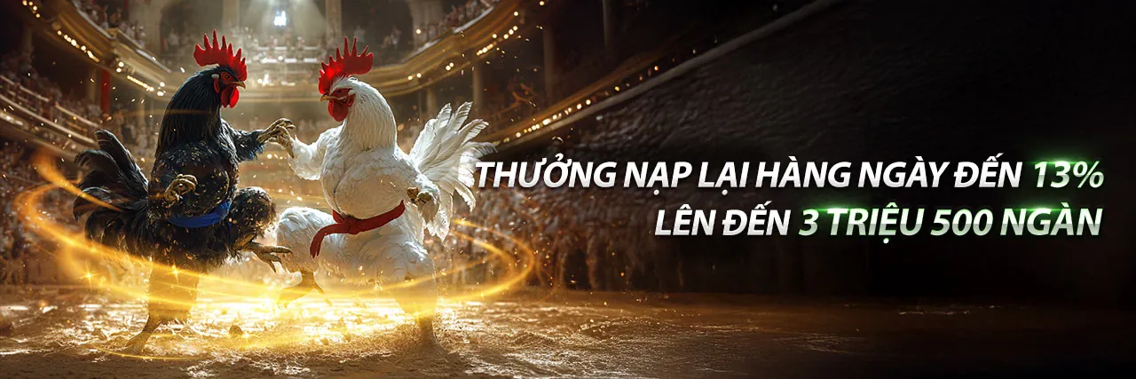 Hình ảnh tổng quan hấp dẫn về nền tảng giải trí trực tuyến 888p27